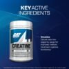 GAT SPORT 100% Monohidrato de creatina en polvo - 1000 gr - 200 porciones - Para hombres y mujeres - Sin Sabor - 100'% Creatina Micronizada de alta pureza