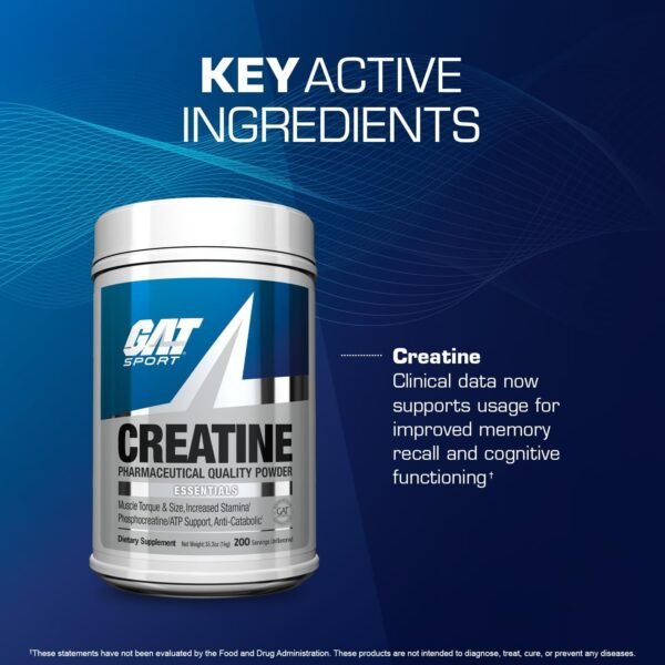 GAT SPORT 100% Monohidrato de creatina en polvo - 1000 gr - 200 porciones - Para hombres y mujeres - Sin Sabor - 100'% Creatina Micronizada de alta pureza